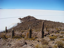 výhled na Salar de Uyuni